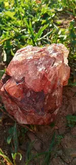 20211002_082654_HDR.webp