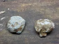 DSCN8542.webp