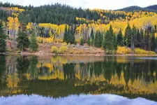 10-6c.webp