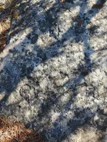 20201227_135754.webp