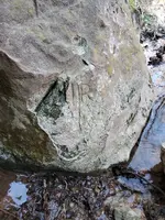 20201227_151350.webp