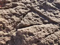 20201227_105155.webp