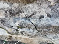 20201227_105219.webp