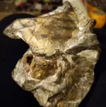 20211005_023146.webp