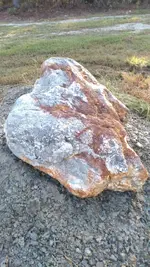 Rock 1.webp