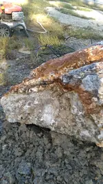 rock 4.webp