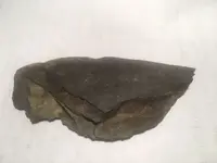 Paleo knife 3.webp