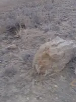 20181110_160731.webp