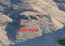 20210627_070134 owl eyes.webp