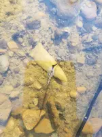 20170223_093514.webp
