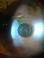 benjamins coin2.webp