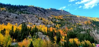 20211004_173157.webp
