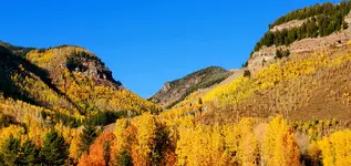 20211004_165510.webp
