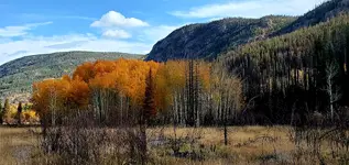 20211006_100033.webp