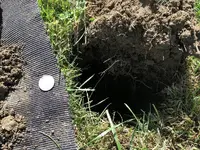 1845 Seated Half - In the Hole.webp