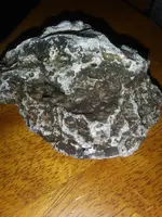 20211017_114639.webp