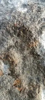 708.webp