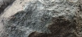 709.webp