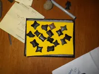 IMGP4599 (1).webp