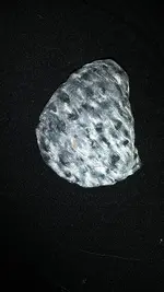20211023_210436.webp