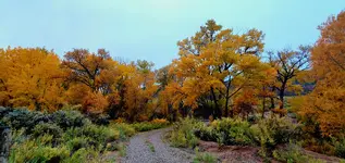 20211026_074854.webp