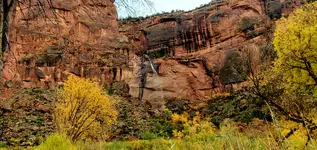 20211026_140259.webp