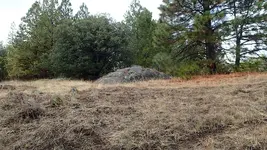 PA252554.webp
