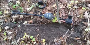 20211027_112213_HDR.webp