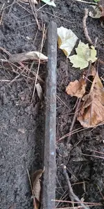 20211027_112219_HDR.webp