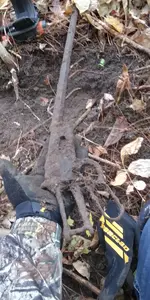 20211027_112649_HDR.webp