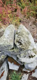 20211023_143330.webp