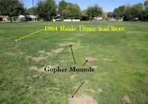 AZ park Nov 21 030.webp