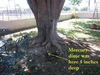 AZ park Nov 21 017.webp
