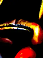 2D55F9B8-2A3B-407B-AA50-98171322C123.webp