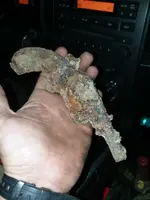 20211106_182949.webp