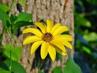 K1024_DSCN4578_InPixio.webp