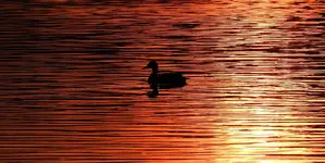 K1600_DSCN4691.webp