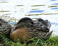 DSCN4622_InPixio.webp