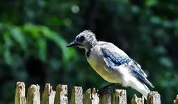 K1600_DSCN4889.webp