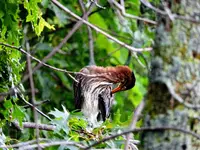 DSCN4411_InPixio.webp