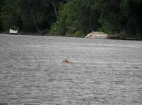 K1600_DSCN4124.webp