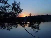 K1600_DSCN1370.webp