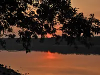 DSCN4146.webp