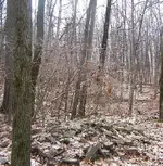 Rock Pile 3.webp