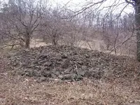 Rock Pile Between Orchard and Field.webp