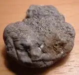 silverup.webp
