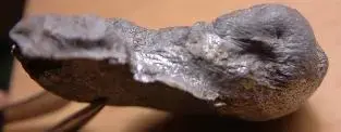silverup2.webp
