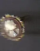 ring8.webp