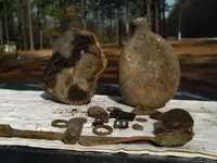 JOHNS DETECTING PICS 001.webp