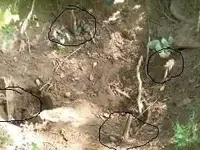 HOLE 004.webp